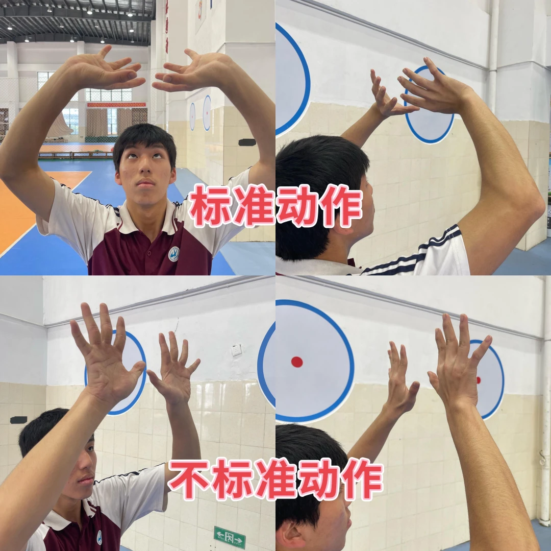 如何利用云平台进行篮球训练的效果评估_0